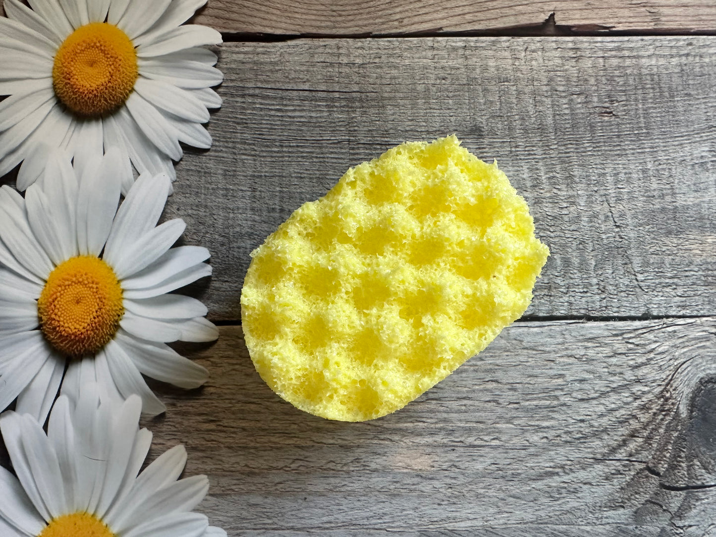 Mini Exfoliating Soap Sponge (Pack of 4)